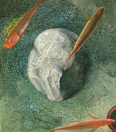 Vladislav Zhidenko. Fish