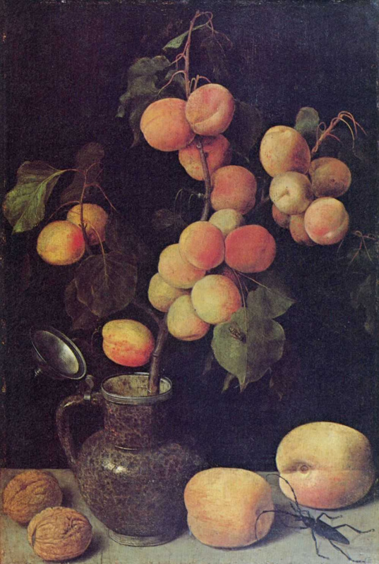 Georg Flegel. Branch with fruits of peach