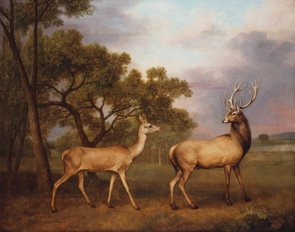 George Stubbs. Red deer