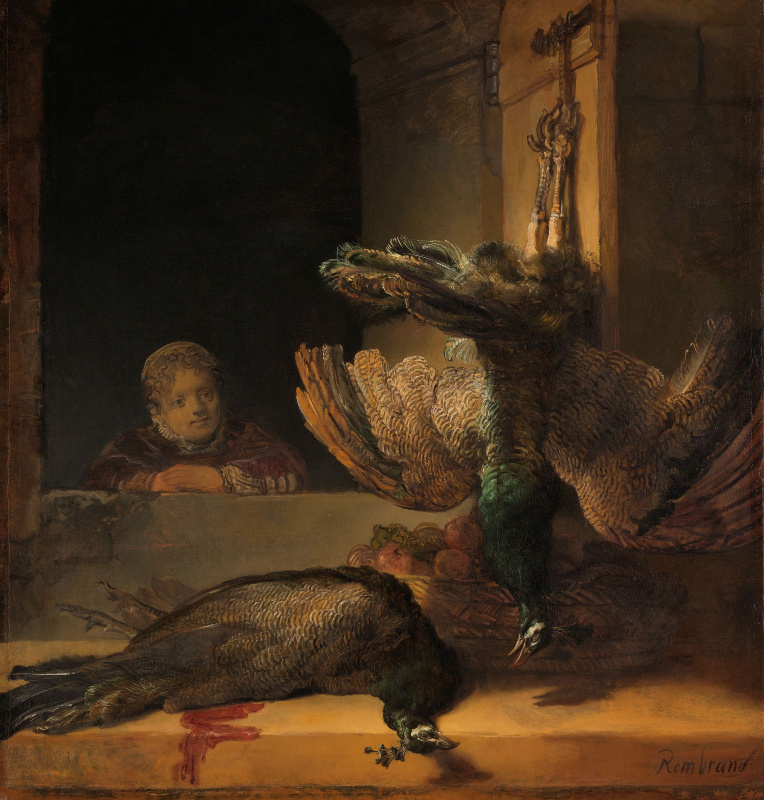 Rembrandt Harmenszoon van Rijn. Still life with two dead peacocks