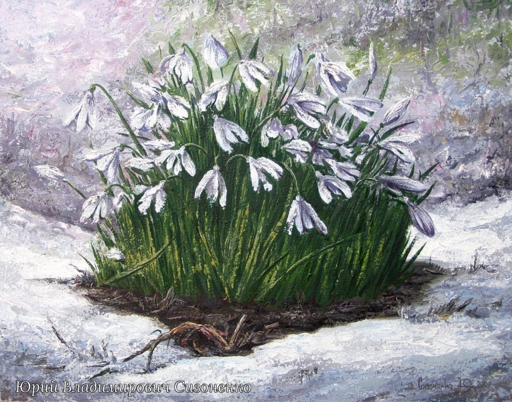 Yuri Vladimirovich Sizonenko. Snowdrops.