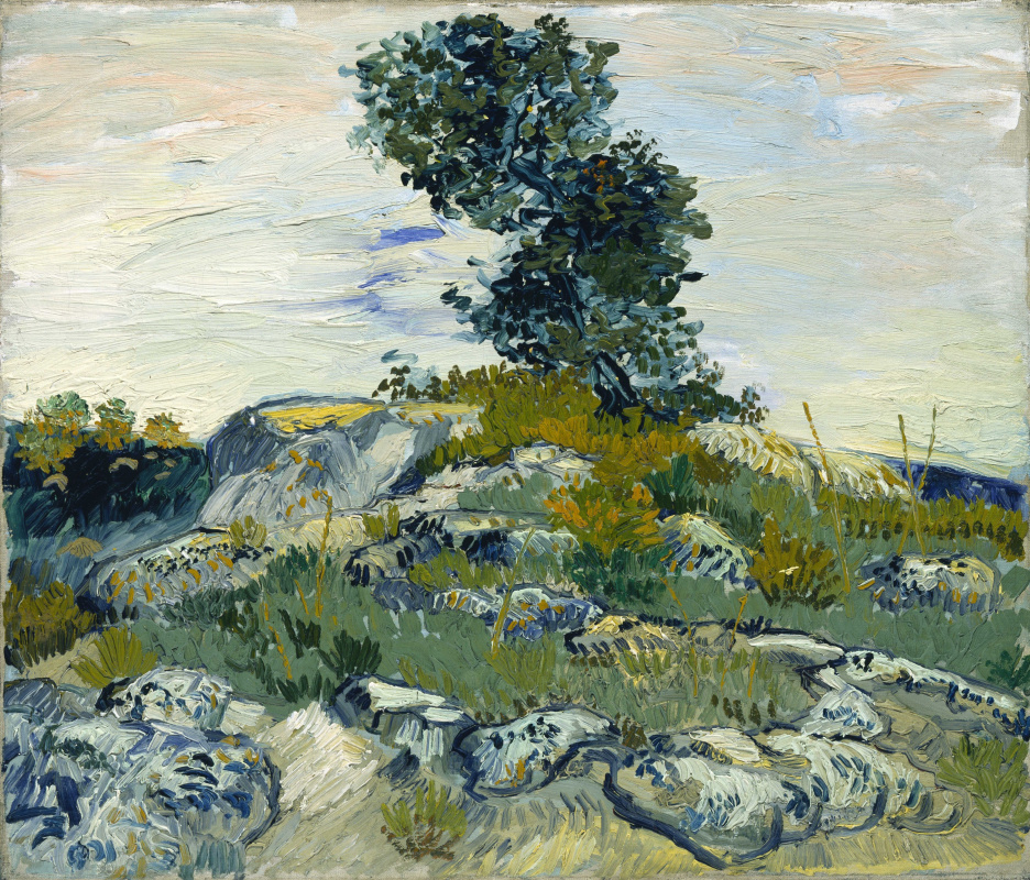 Vincent van Gogh. Oak on the rocks