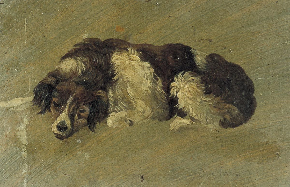 Theo van Dusburg. Dog
