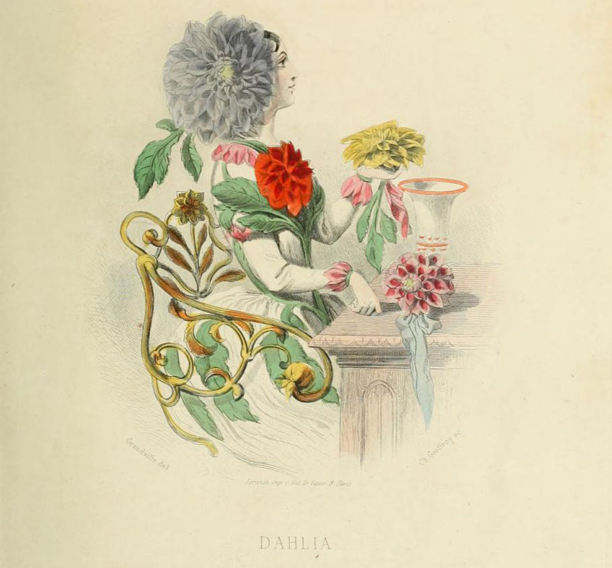 Jean Inias Isidore (Gerard) Granville. Georgin. Die Serie "Animate Flowers"