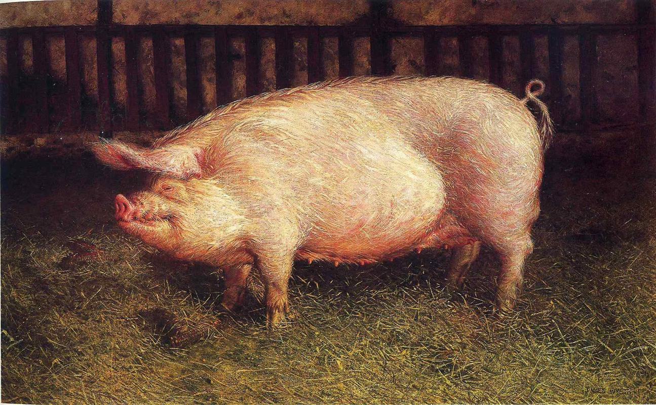 Jamie Wyeth. Portrait of a pig