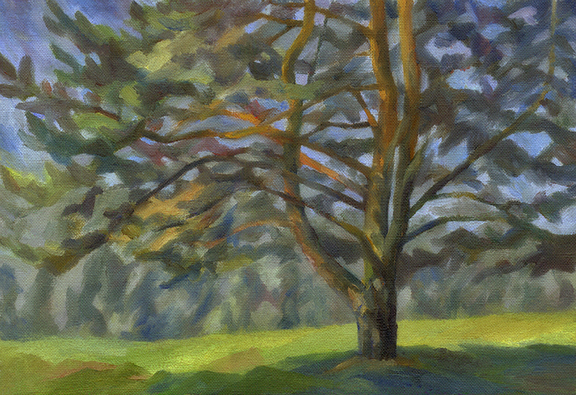 Andrei Ivanovich Borisov. Study for the painting "Big Pine"