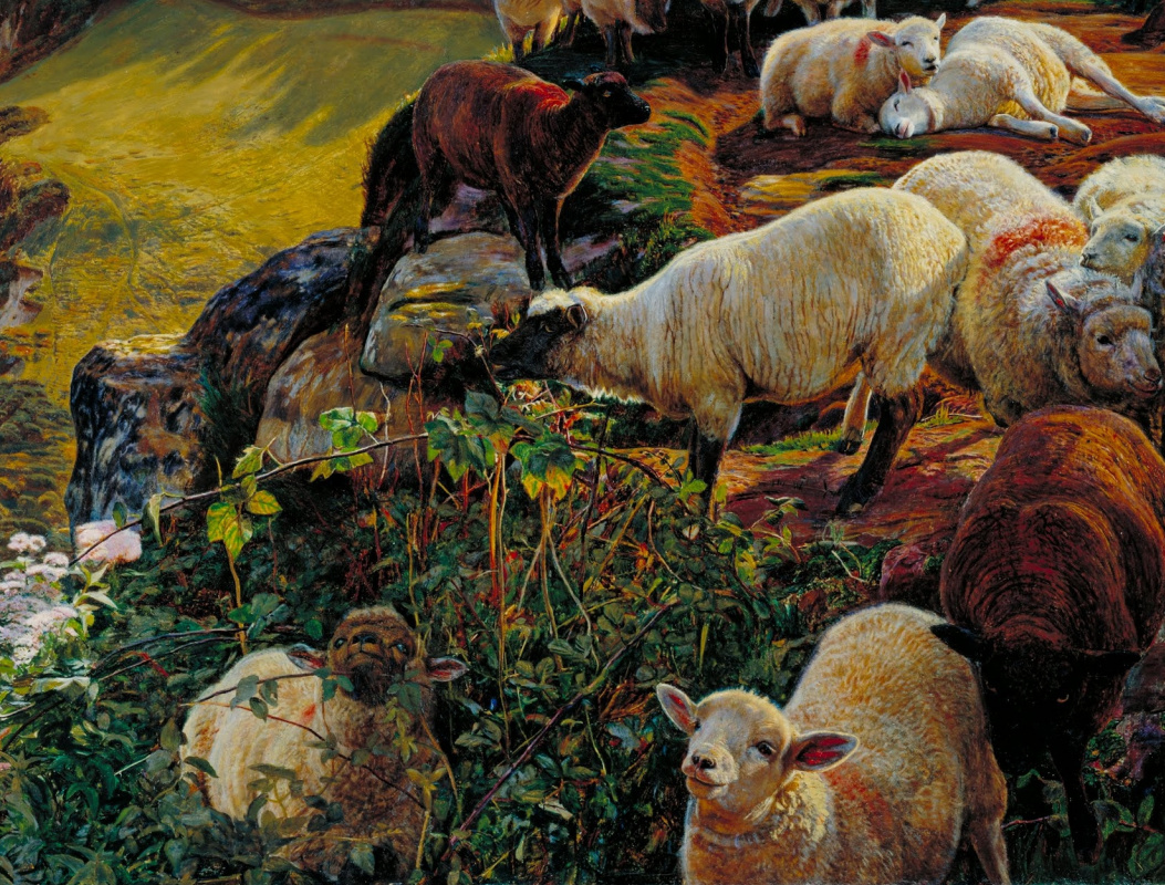 William Holman Hunt. 一群羊在英国海岸。碎片