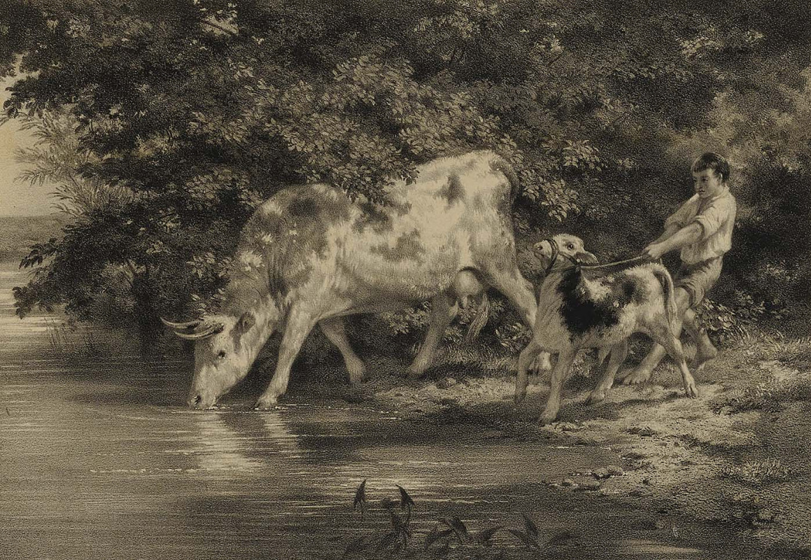 Rose Bonhur. 一个男孩与一头牛，一头小牛过河
