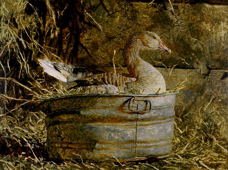 Jamie Wyeth. Goose in the trough