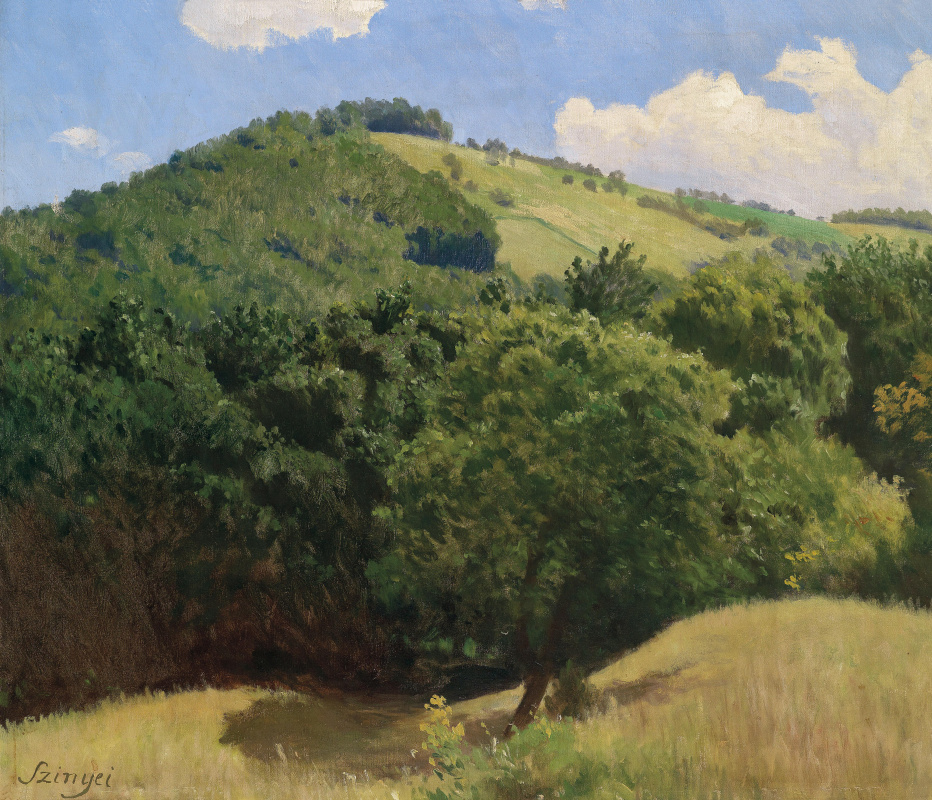 Pál Szinyei Merse. Hilly landscape