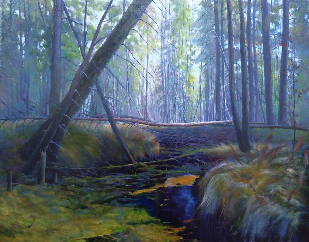 Dulat Abduldinov. Forest swamp