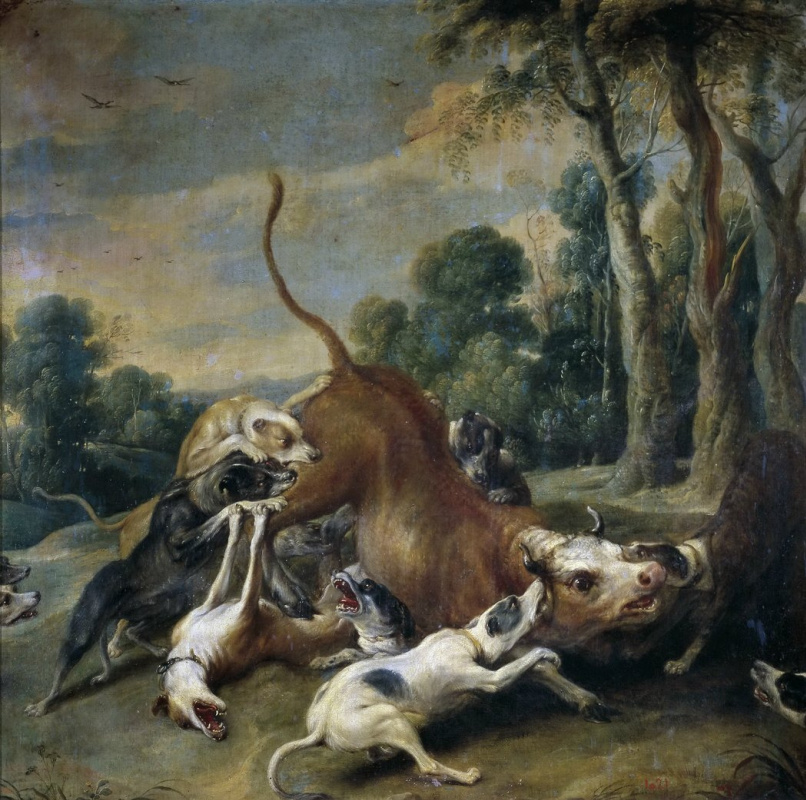France Snyders. Hunted bull