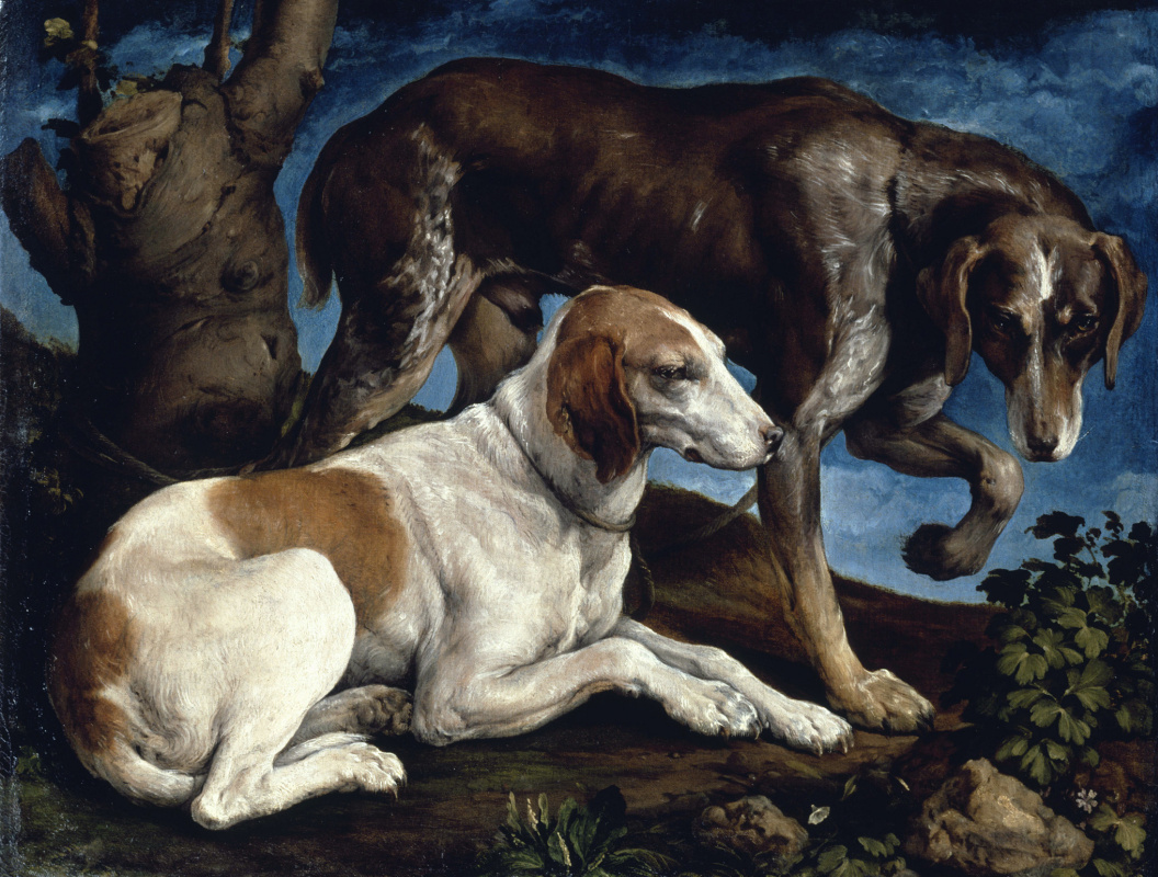 Jacopo da Ponte Bassano. Two dogs