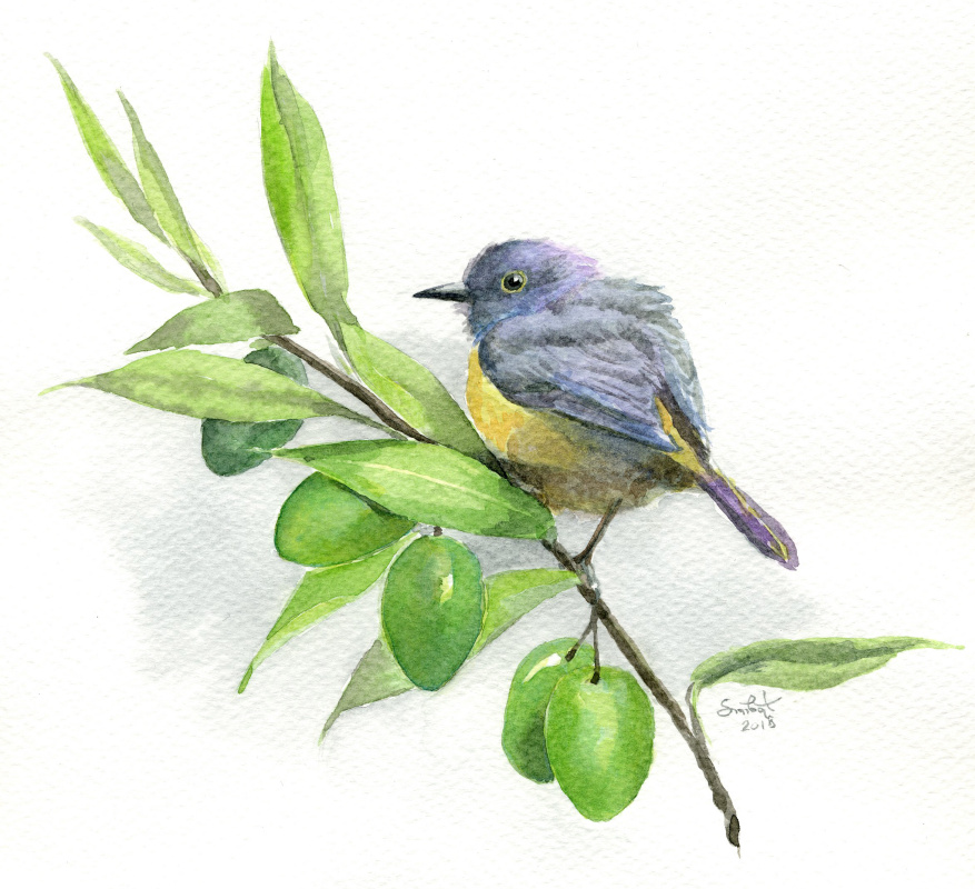Smbat Arayevich Bagdasaryan. Bird on olive branch