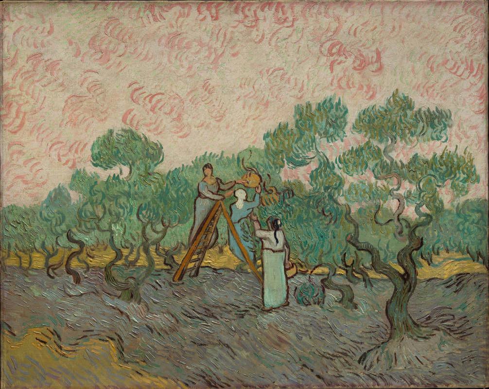 Vincent van Gogh. La colección de aceitunas