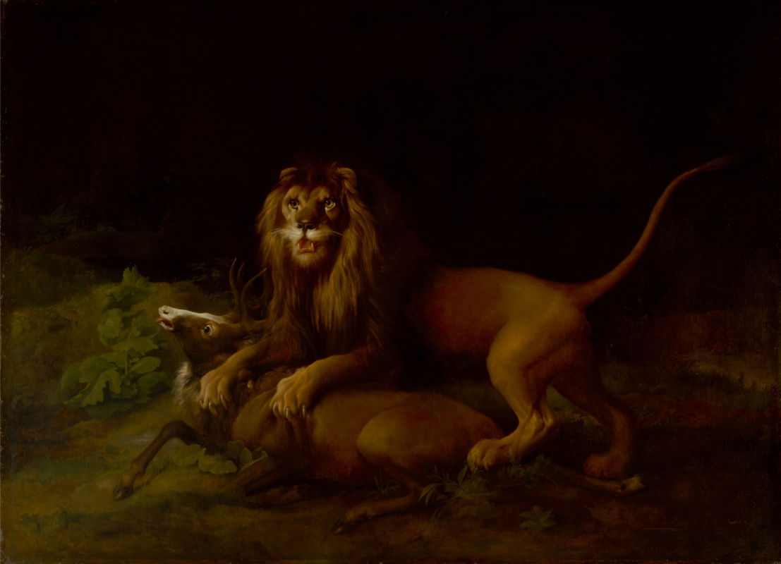 George Stubbs. Lion attacking deer