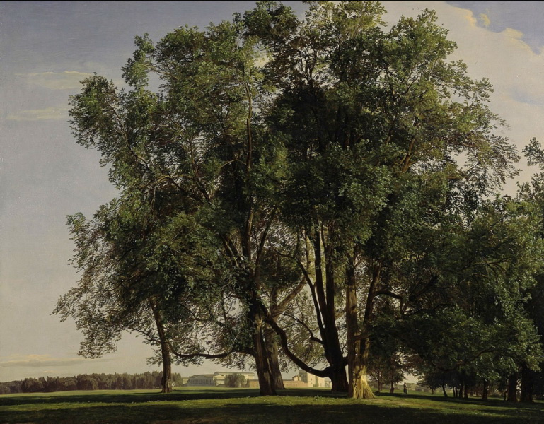 Ferdinand Georg Waldmüller. Landscape near Prater