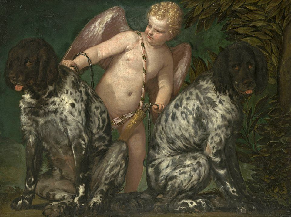 Paolo Veronese. Cupidon avec deux chiens