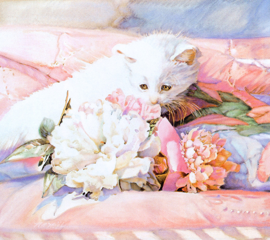 Nancy Noel. Kitty