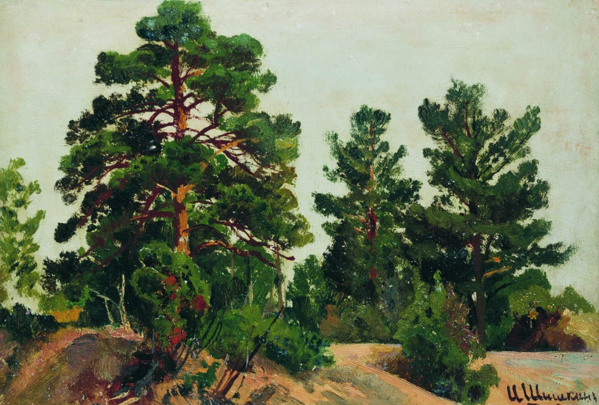 Ivan Shishkin. Young pines