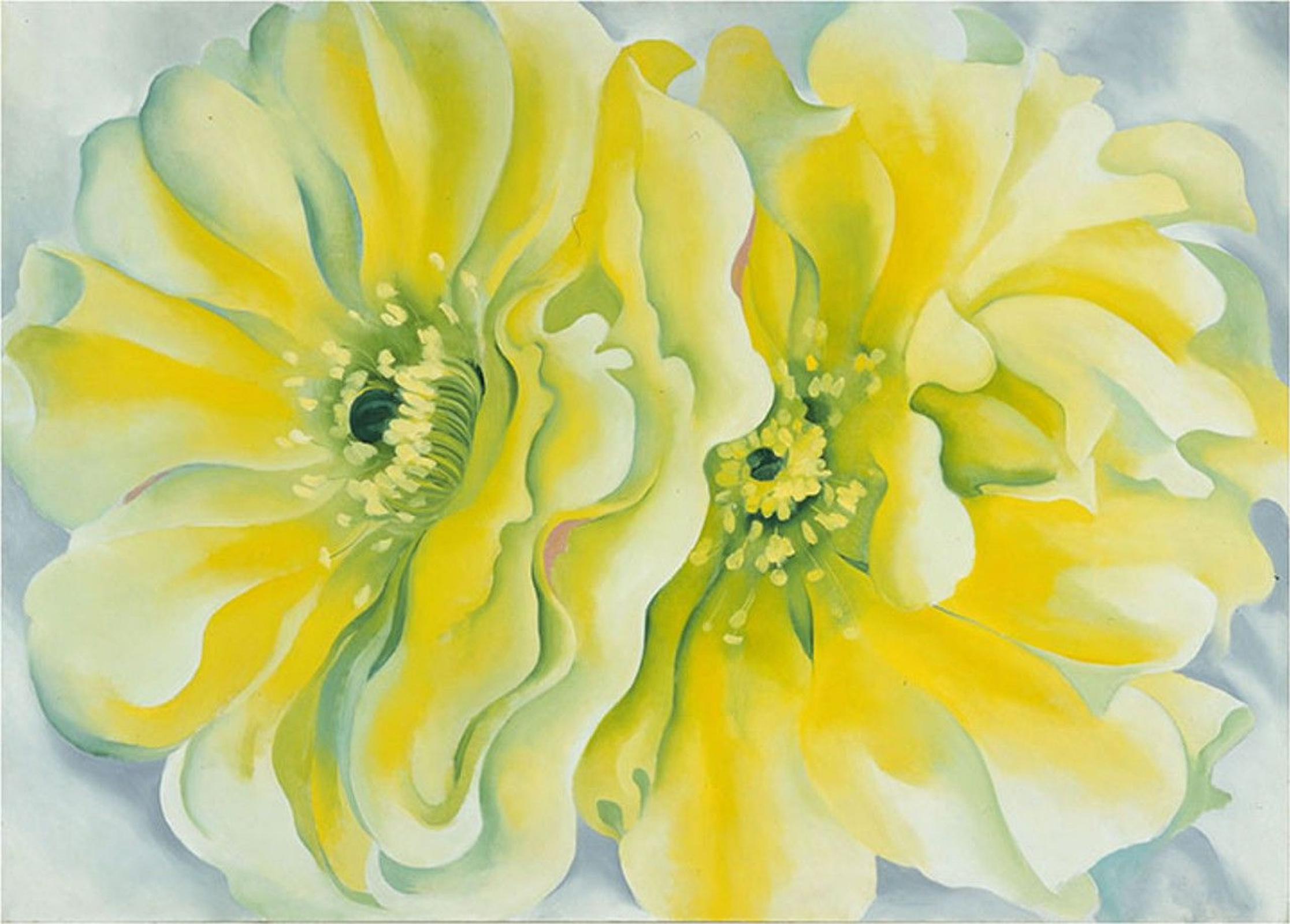 Yellow cactus, 1929, 12392 cm by Georgia O'Keeffe: History, Analysis &  Facts | Arthive