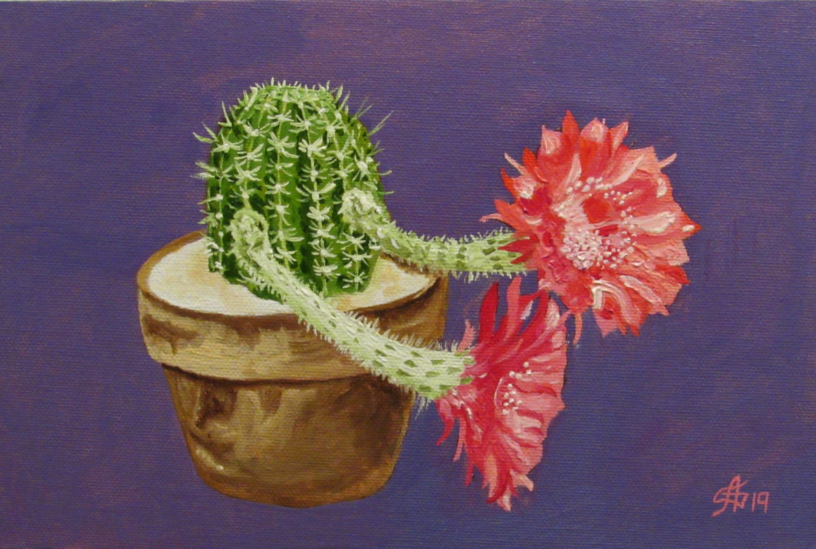 Artashes Badalyan. Blooming cacti-2 - x-hardboard-m - 20x30