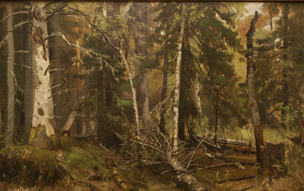 Ivan Shishkin. Covert