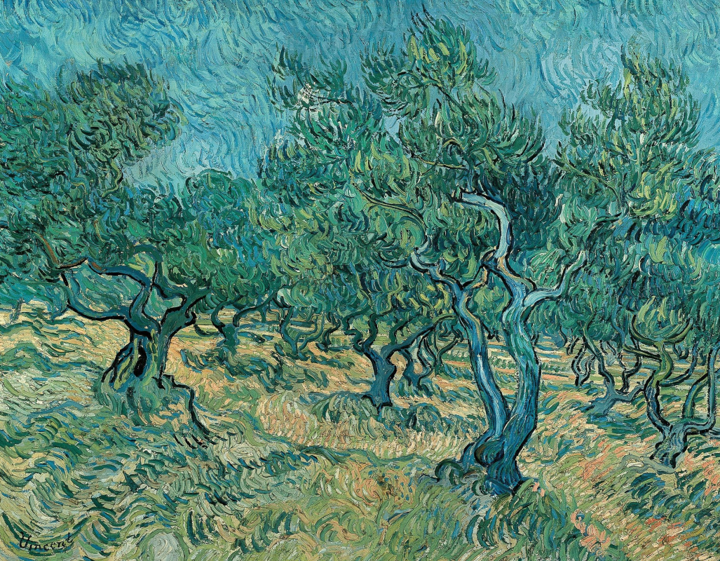 Vincent van Gogh. Olive trees