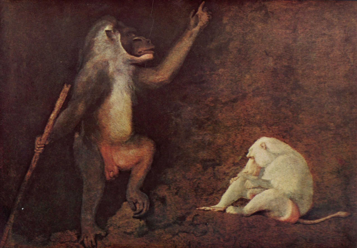 George Stubbs. Baboon and monkey-albino