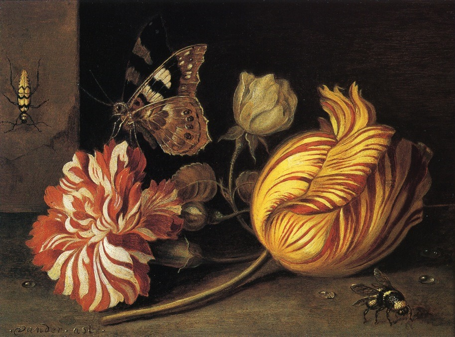 Balthasar van der Ast. Croquis avec des fleurs et des insectes