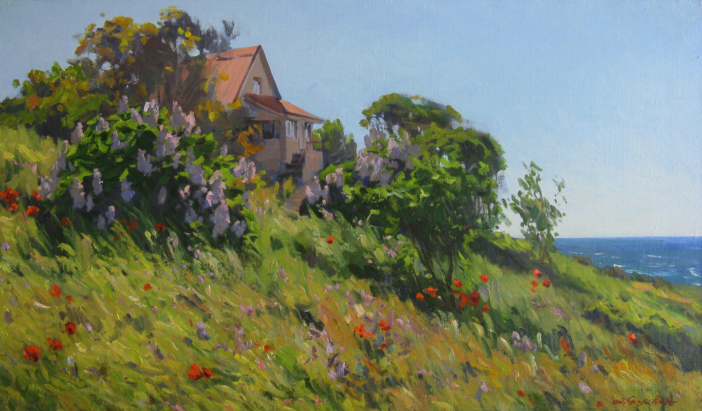 Artem Yurievich Puchkov. "Cottage by the sea."