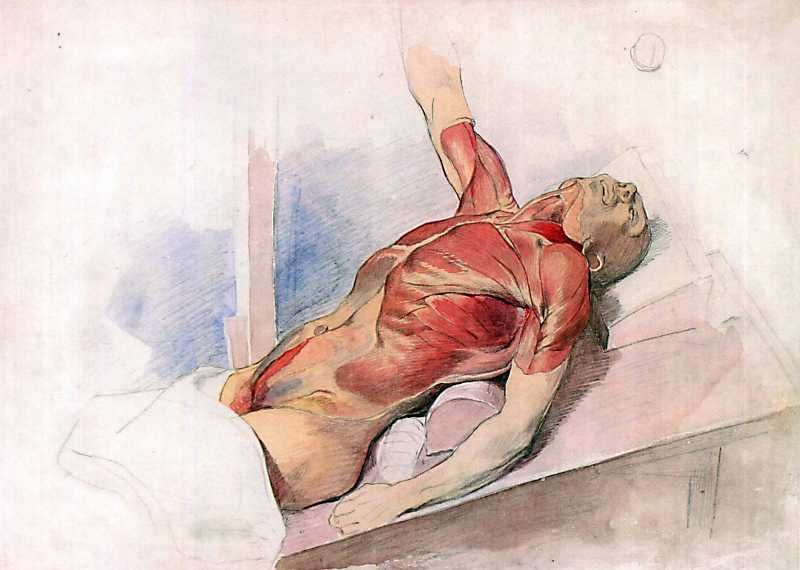 Taras Grigorievich Shevchenko. Anatomical drawing