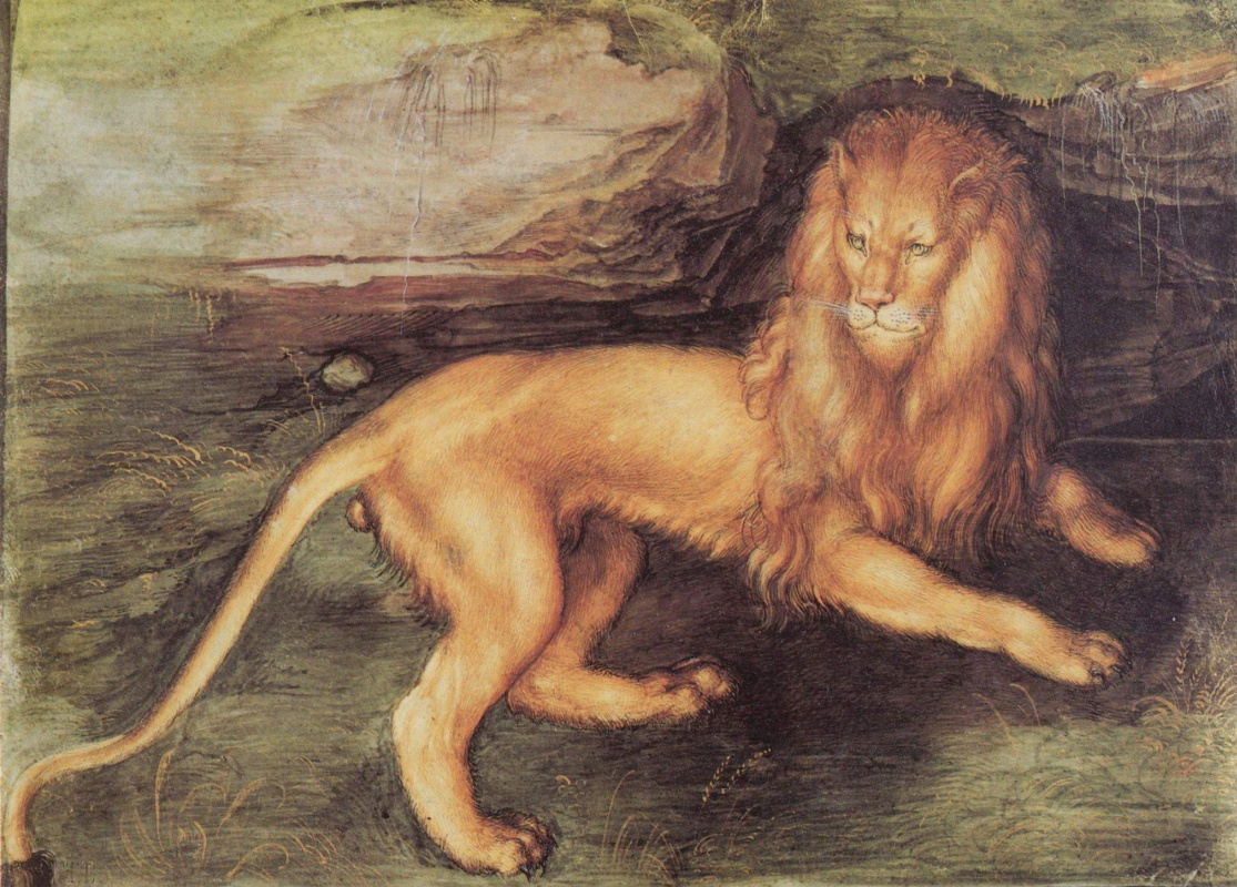 Albrecht Dürer. Lion