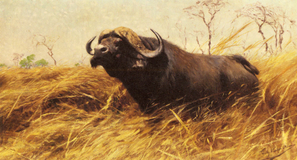 Фридрих Вильгельм Кунерт. Африканский буйвол