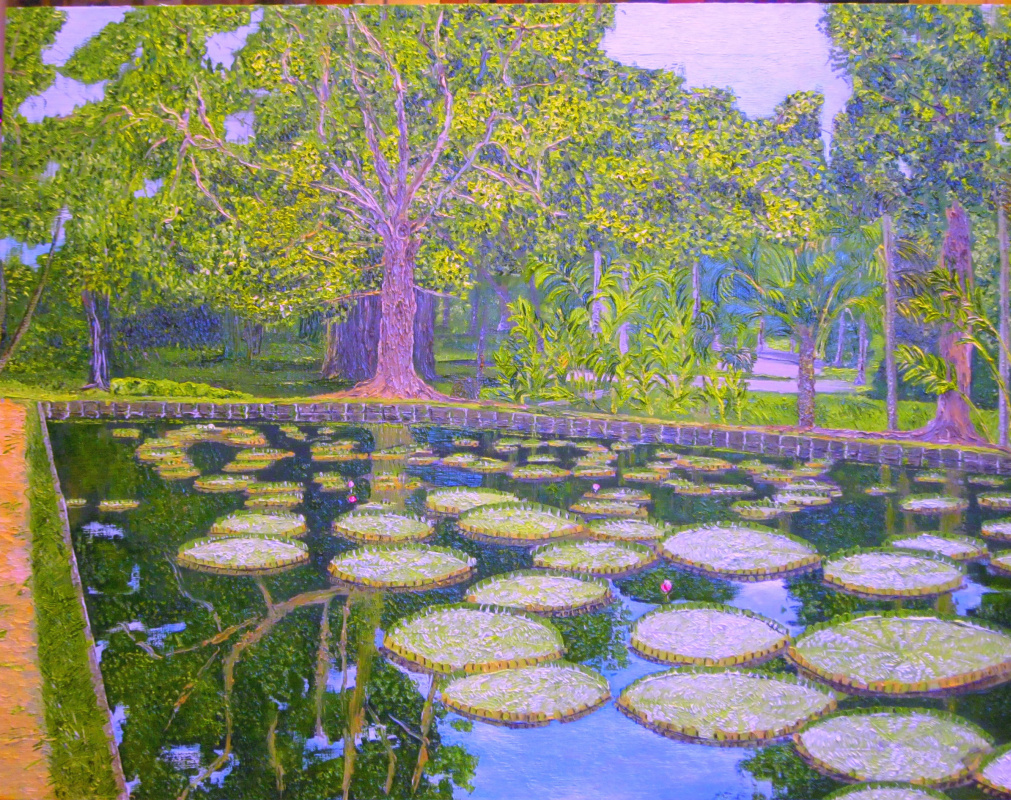 Eduard Поникаров. Pond in the Botanical garden (Mauritius)