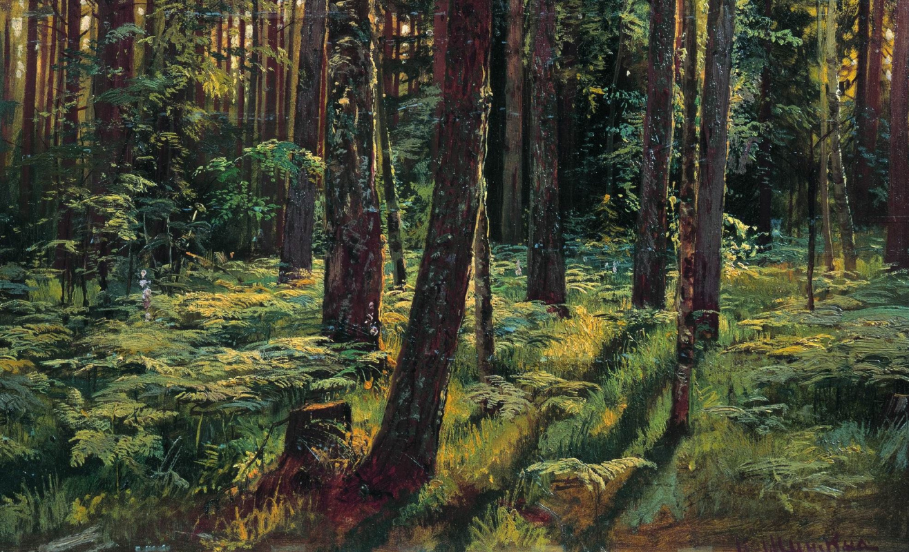 Ivan Shishkin. Ferns in the forest. Siverskiy