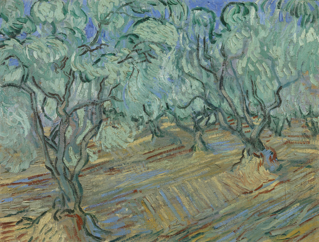 Vincent van Gogh. Olive, light blue sky