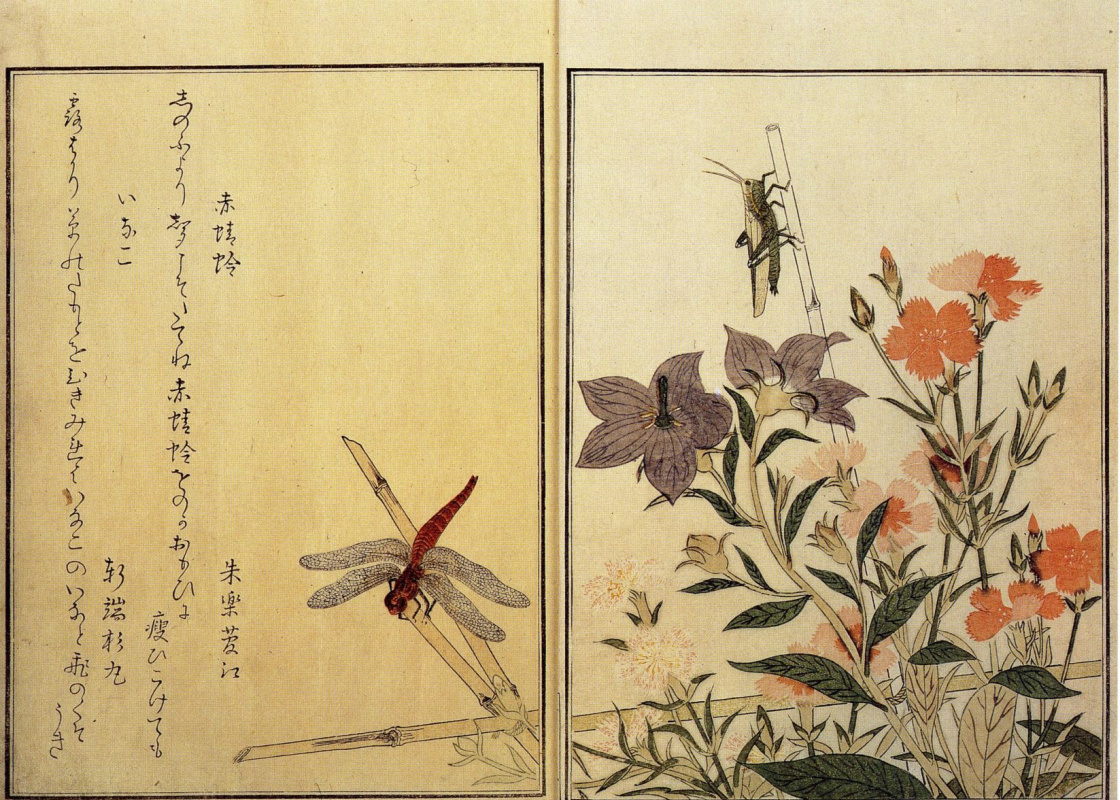 Kitagawa Utamaro. Illustration of a book about insects