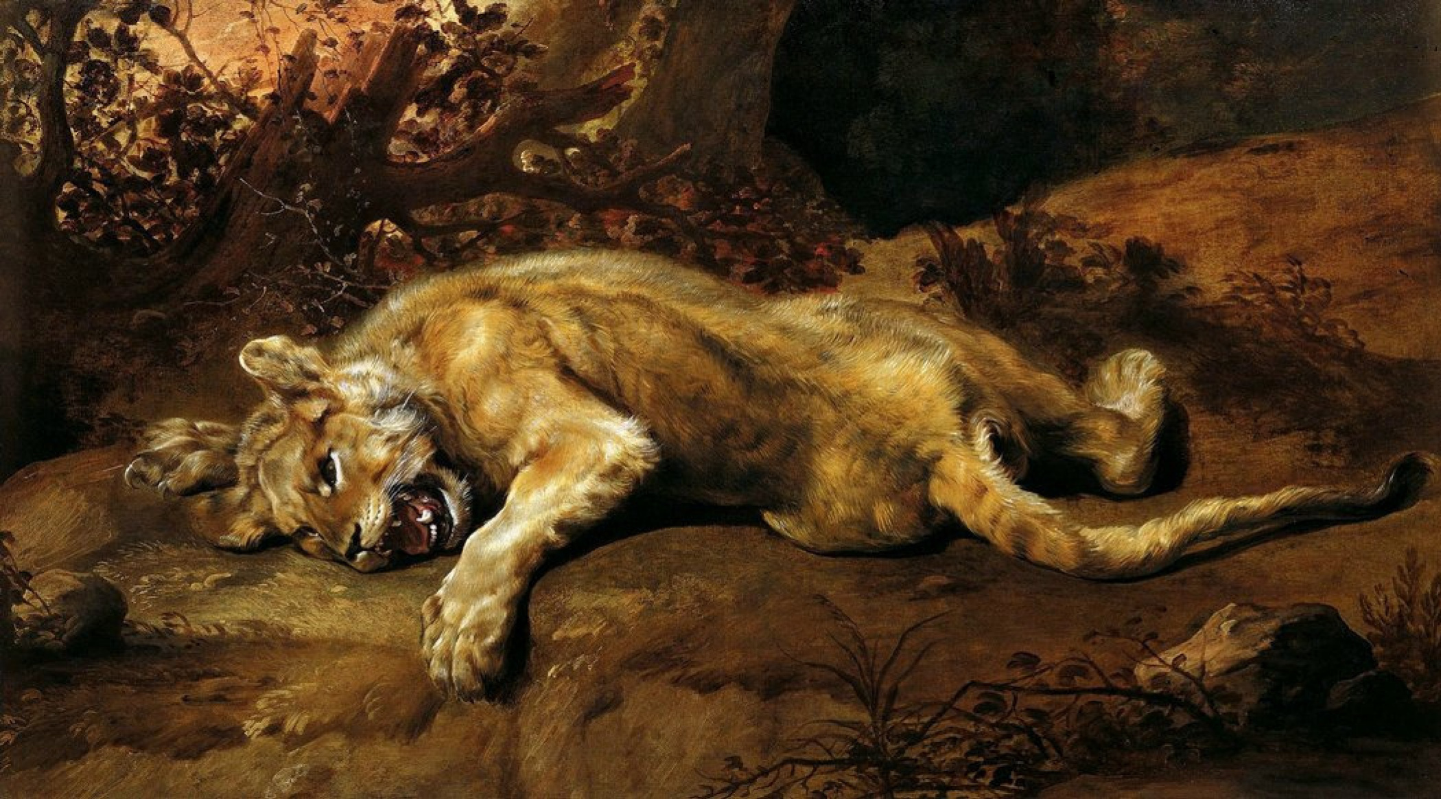 France Snyders Lion blessé, XVII, 111×198 cm : Descriptif de lœuvre |  Artchive