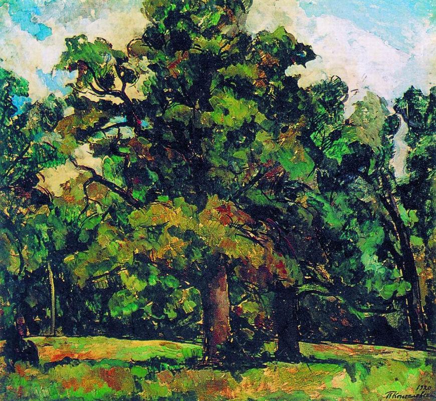 Petr Petrovich Konchalovsky. Abramtsevo. Oak grove