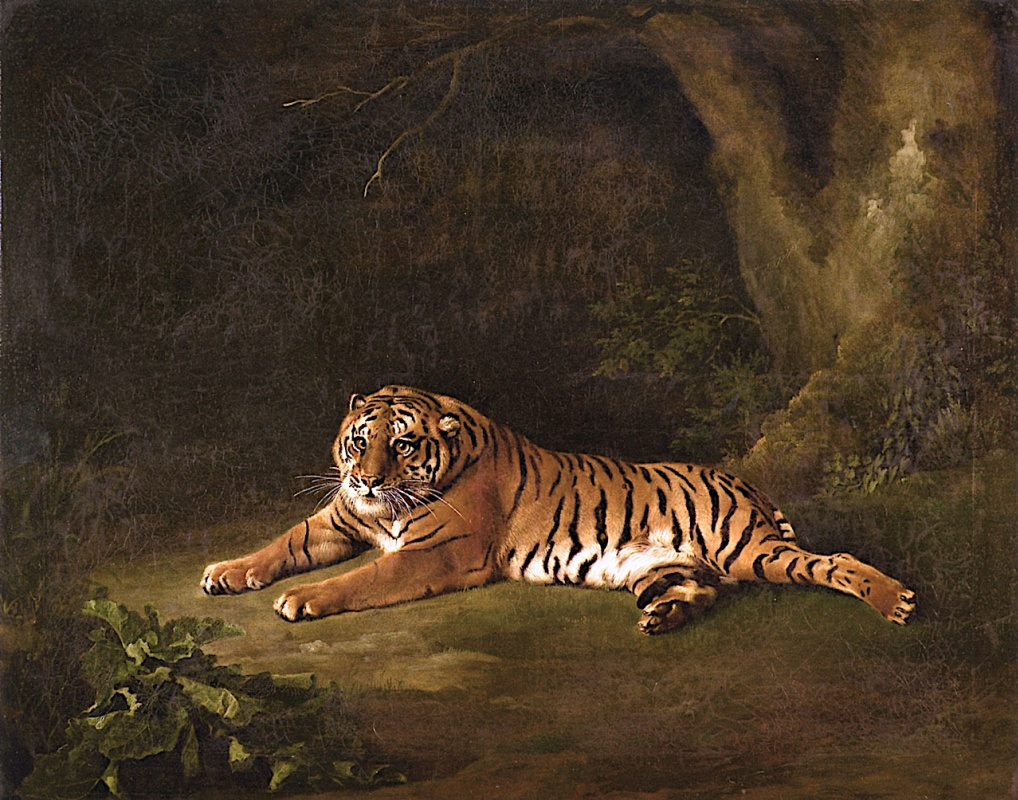 George Stubbs. Tigress