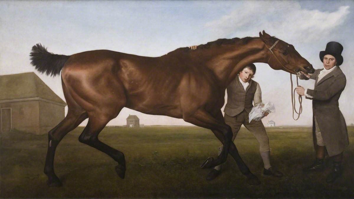 George Stubbs. A horse named Hambleton