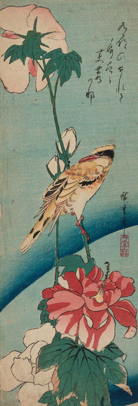 Utagawa Hiroshige. Black-headed Oriole and a hibiscus flower. Series "Birds and flowers"