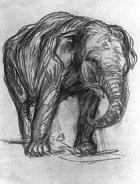Franz Marc. Éléphant