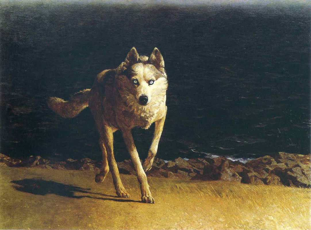 Jamie Wyeth. Wolf