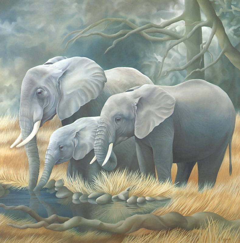 Laura Regan. Elephants
