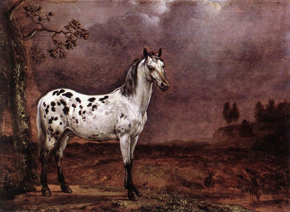 Paulus Potter. Stallion