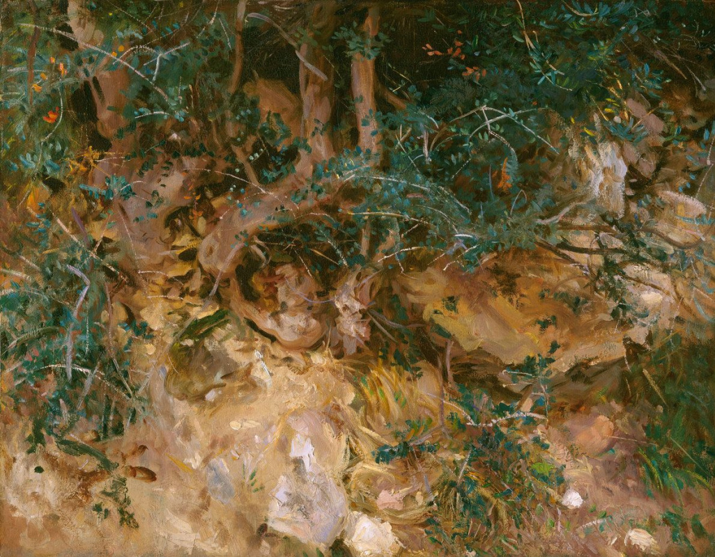 John Singer Sargent. Valdemoza，马略卡岛。在山腰上的蓟