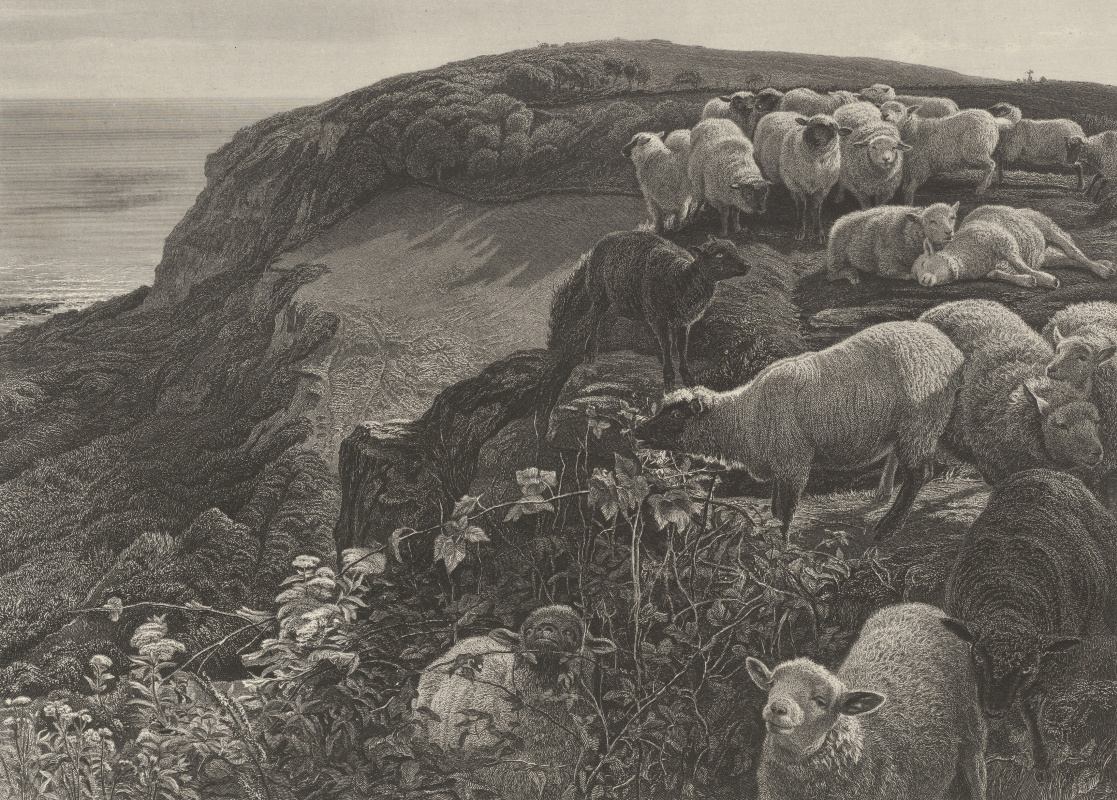 William Holman Hunt. Sheep on the English coast