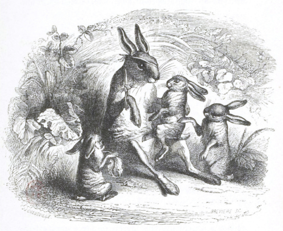 Jean Ignace Isidore Gérard Grandville. Stories of the old Hare. "Scenes of public and private life of animals"